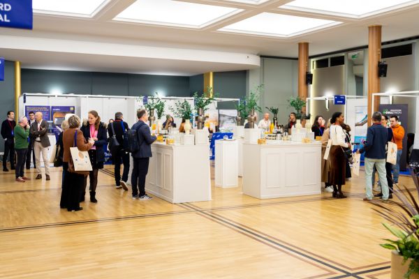 EXPOSITION - Photo 21